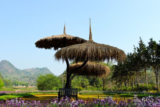 Landscaped flower garden