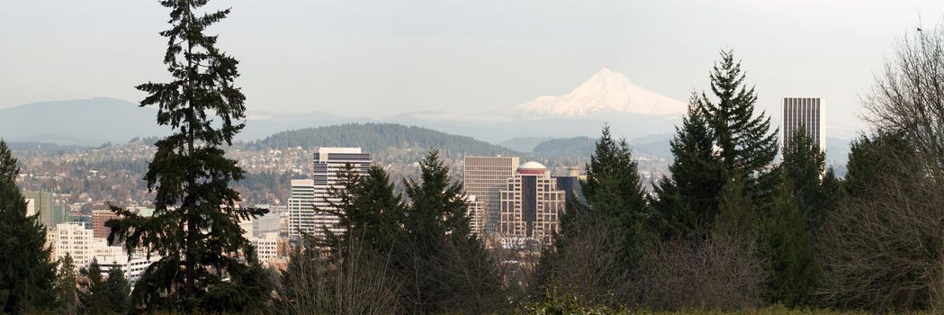 Portland Oregon Downtown Cityscape Amongst the Trees with Mount Hood Panorama