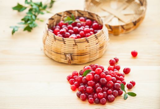 Fresh red cranberries with leaves in basket