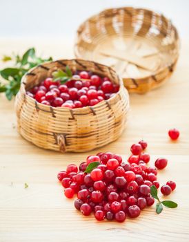 Fresh red cranberries with leaves in basket. Vertical view