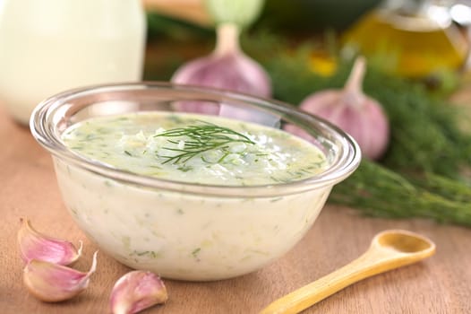 Tzatziki, a Greek and Turkish sauce, made of yoghurt, cucumber, garlic, olive oil and dill (Selective Focus, Focus on the front of the dill on the tzatziki)   