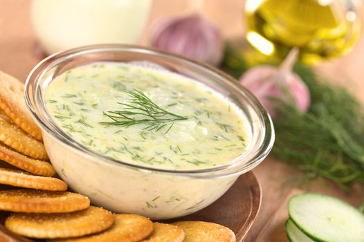 Tzatziki, a Greek and Turkish sauce, made of yoghurt, cucumber, garlic, olive oil and dill with salty crackers to dip (Selective Focus, Focus on the front of the dill on the tzatziki)   