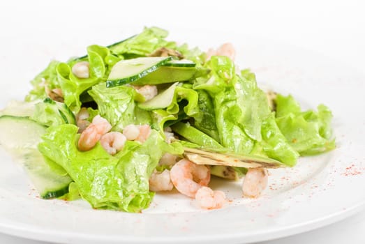 seafood salad closeup isolated on a white background