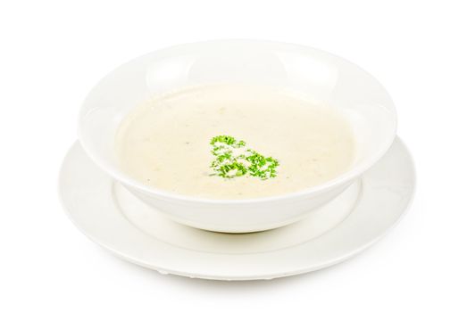 cream of mushroom isolated on a white background