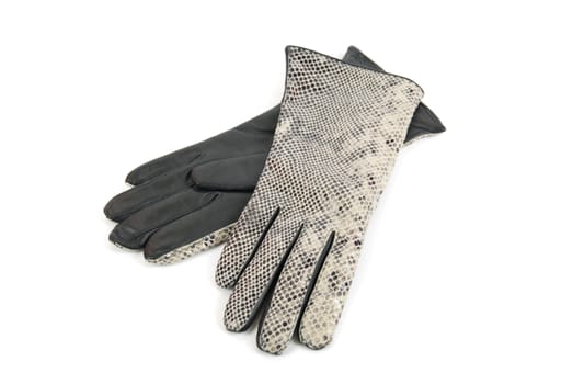 Grey modern reptile female leather gloves isolated on a white