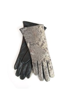 reptile modern leather gloves isolated on a white