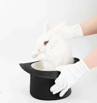 Little rabbit at magic hat and hand on a gray background