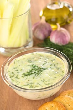 Tzatziki, a Greek and Turkish sauce, made of yoghurt, cucumber, garlic, olive oil and dill (Selective Focus, Focus on the the dill on the tzatziki)   