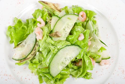 shrimp salad with cucumber and avocado