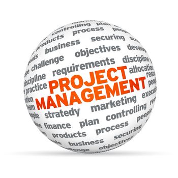 3D sphere with the word Project Management on white background.