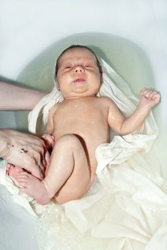 Cute newborn baby in the bath washable.
