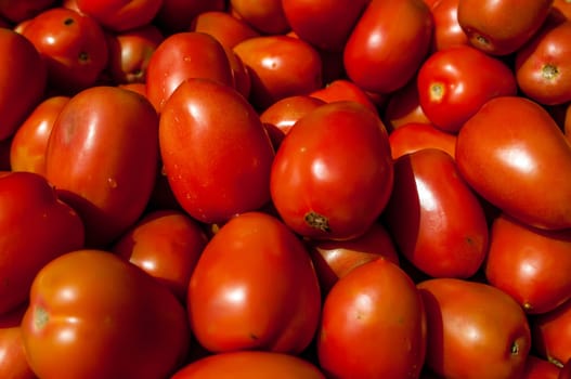 a lot of red tomatoes background