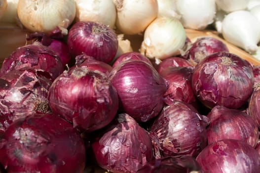 red ad white onions on flea market shelf display