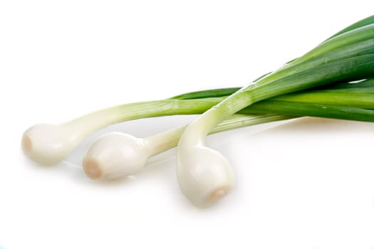 Bunch of green onion vegetables isolated on white background