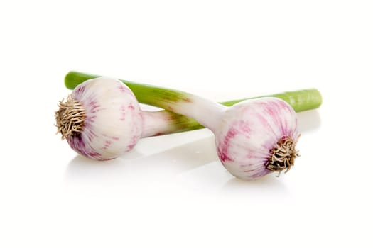 Garlic Vegetable Isolated on White Background 