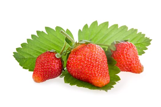 Red strawberry fruits with green leaves isolated on white background 