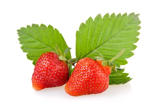 Red strawberry fruits with green leaves isolated on white background 