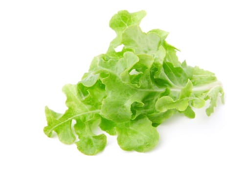 green lettuce salad, isolated on white