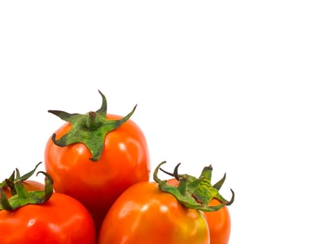 This is a tomatoes  on white background