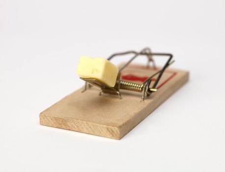 Mouse Trap with cheese on white background