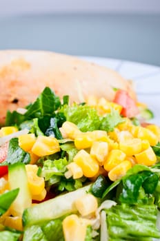 Roasted chicken breast with salad close up