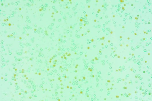 Sparkling  bubbles on green  background