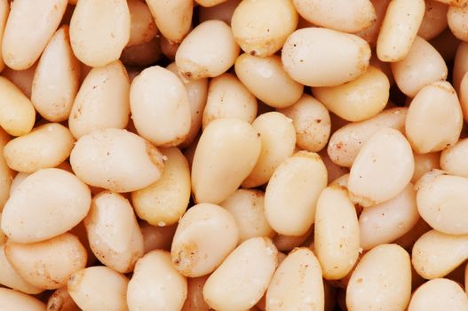 Pine nuts background close up