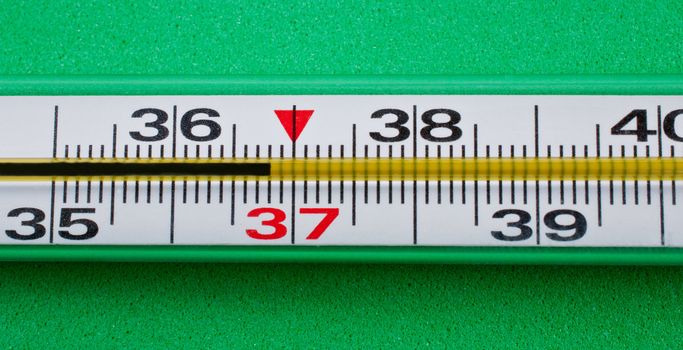Thermometer close up on green background