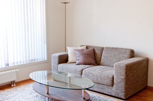 Modern minimalist living-room with beige furniture