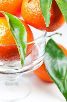 Tangerines with green leaves in glass vase close up