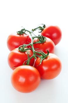 Branch of ripe cherry tomatoes