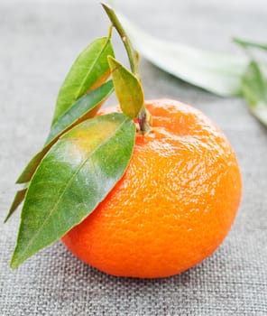 Mandarin with green leaves close up