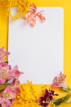 Decorative card with mimosa over white