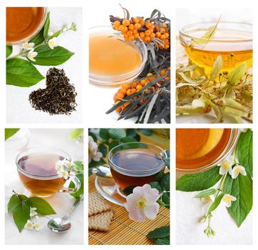 Collection of green and black tea with herbs and flowers