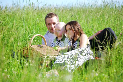  picnic of happy family on green grass