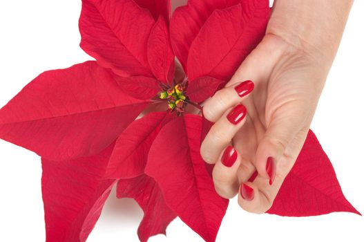 Christmas spa with manicured hands