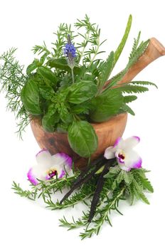 Herbs for alternative therapy and  aromatherapy