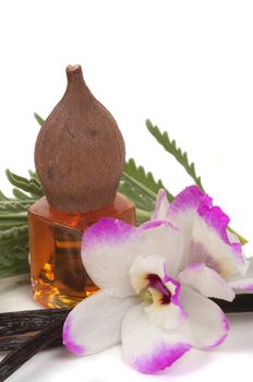Vanilla massage oil with orchid, lavender and vanilla pods