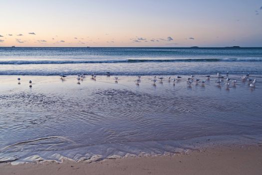 the peaceful beach at wollongong at sunrise