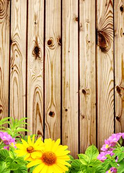 Summer background with old wooden fence, flower and green leaves