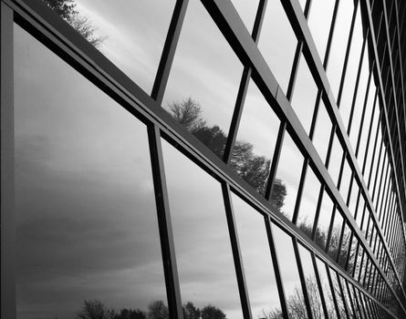 Glass window wall that is angled inward in black and white reflecting some trees