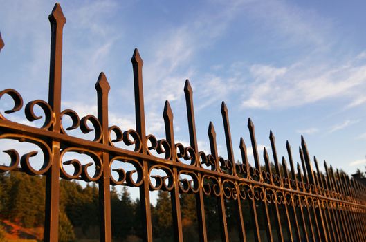 Golden sunset lights a spiked wroght iron fence with a blue sky background