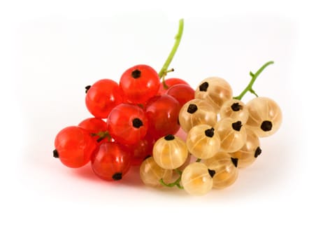 Currtant berries isolated on white background