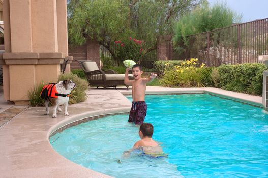 Kids and their pet bulldog playing in the pool 
