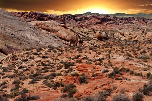Valley of Fire National Park in Nevada
