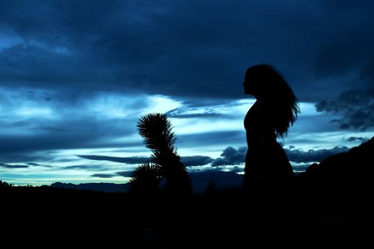 Evening in the desert (silhouette ) 
