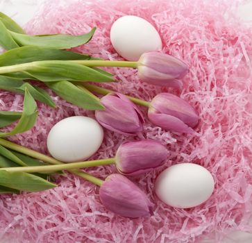 Tulips and eggs