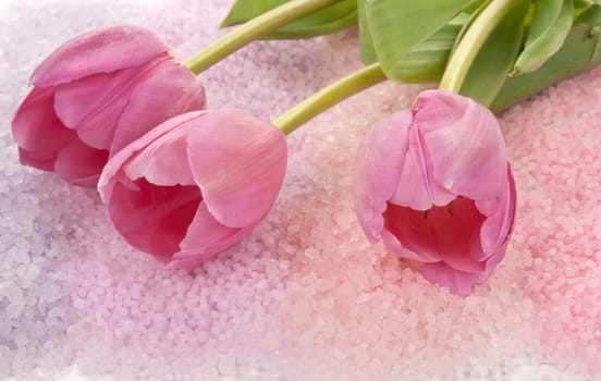 Tulips on bath salts