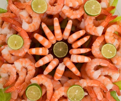  Gourmet large shrimp cocktail with cocktail sauce and lime 