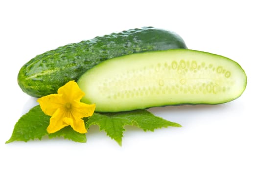 Green cucumber vegetable with leafs and flowers isolated